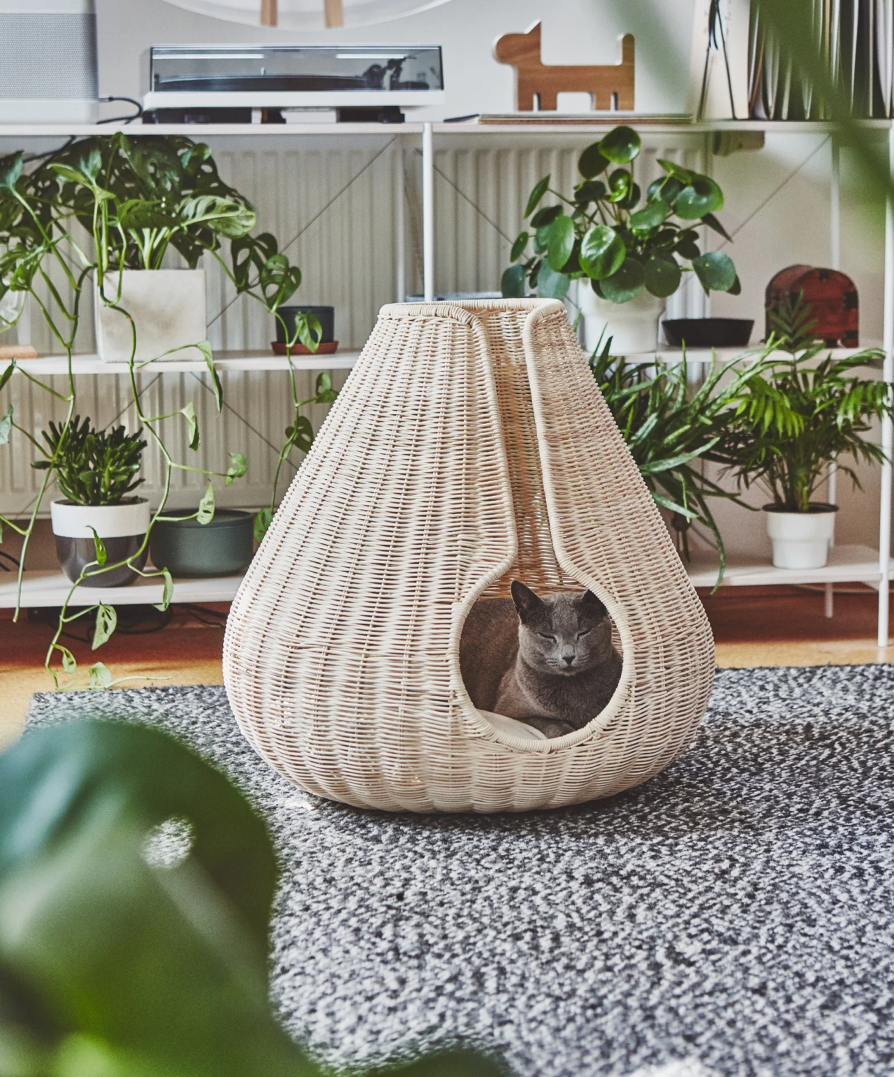 Pet Friendly France chien chat hôtel de luxe