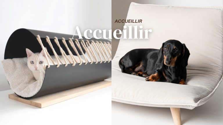 Pet Friendly France chien chat hôtel de luxe