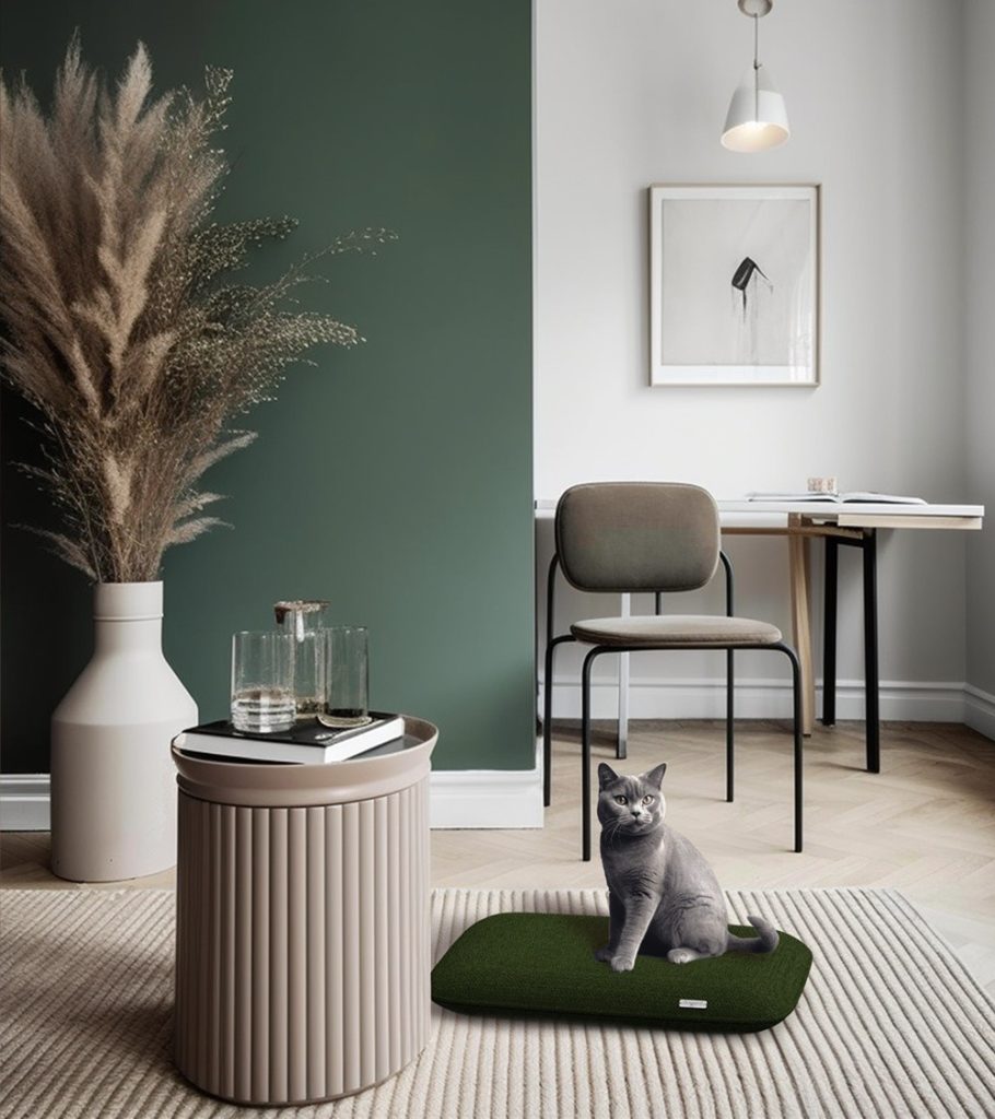 olympia bogarel pet friendly france dog and cat design