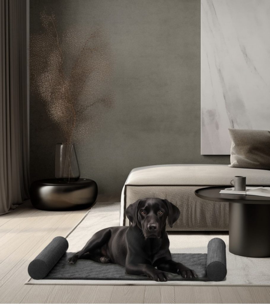 olympia bogarel pet friendly france dog and cat design