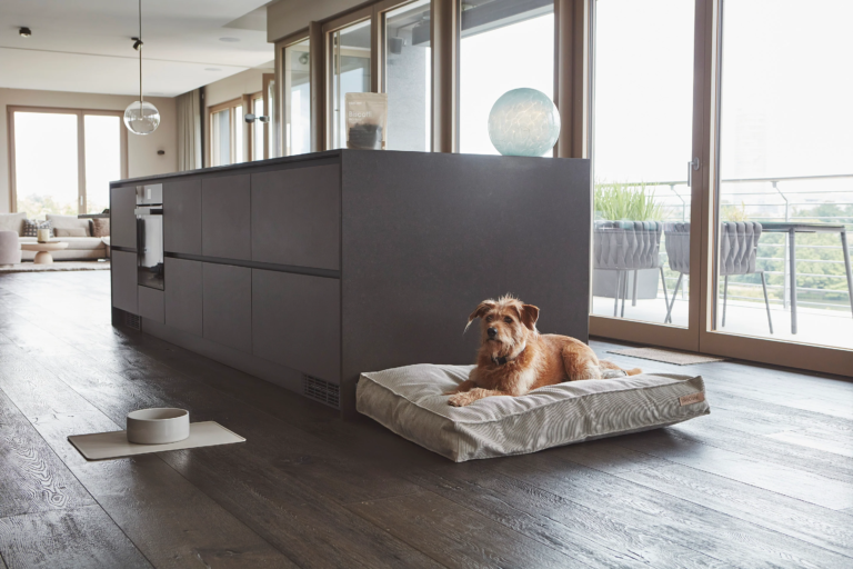 Pet Friendly France chien chat hôtel de luxe