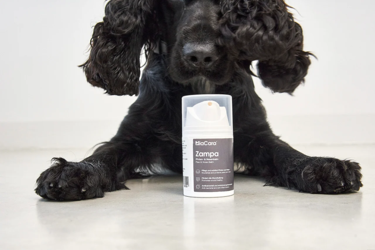 Pet Friendly France chien chat hôtel de luxe