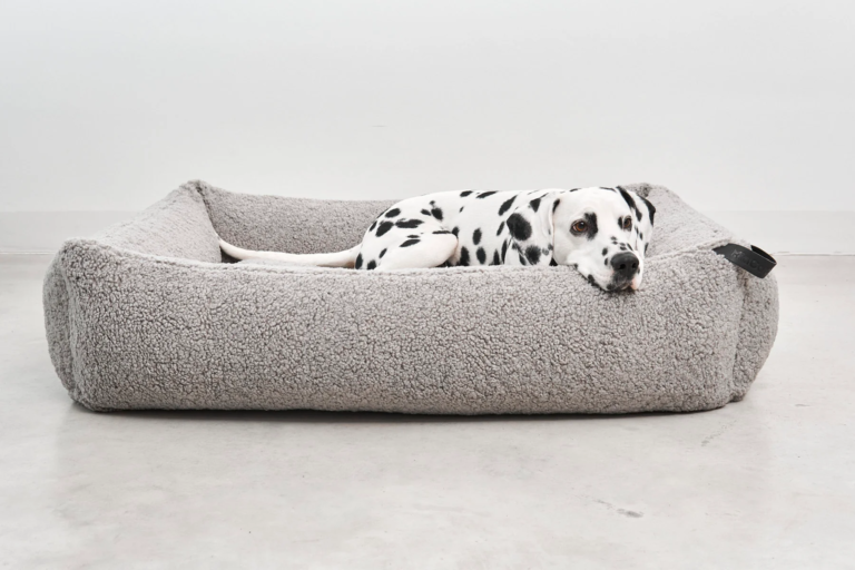 Pet Friendly France chien chat hôtel de luxe