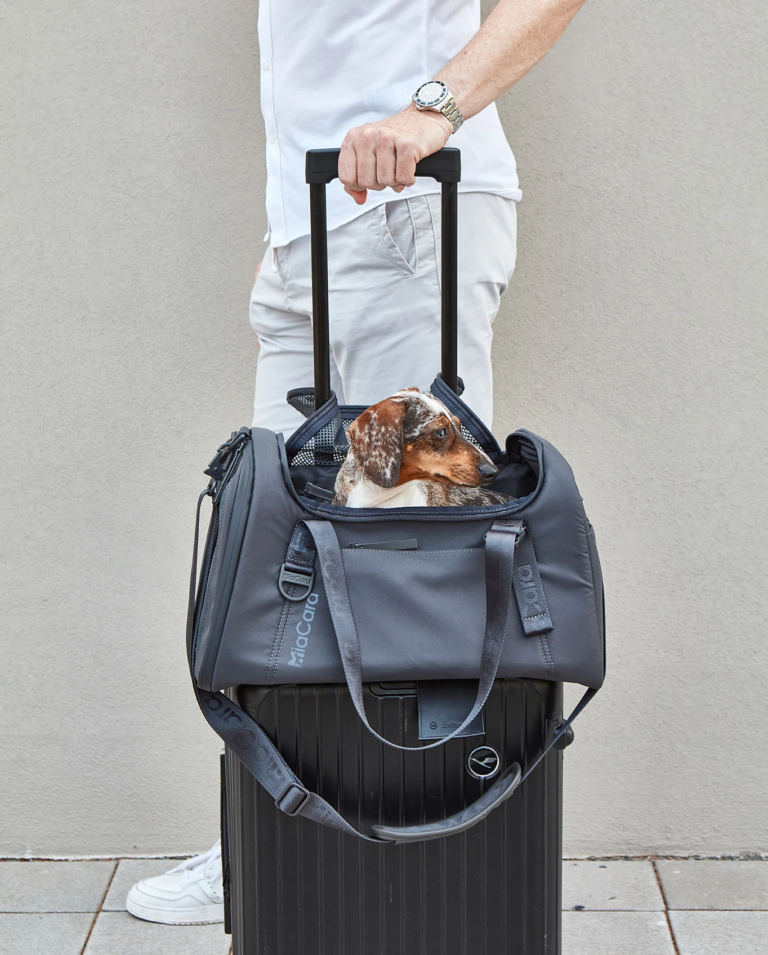Pet Friendly France chien chat hôtel de luxe