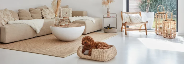 Pet Friendly France chien chat hôtel de luxe