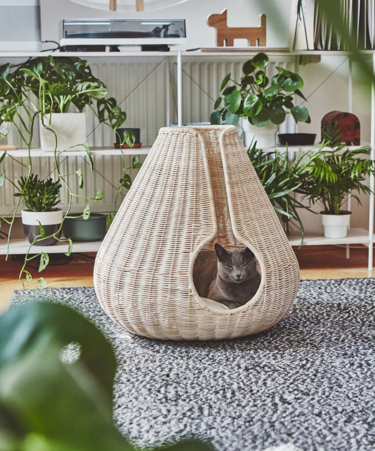 Pet Friendly France chien chat hôtel de luxe
