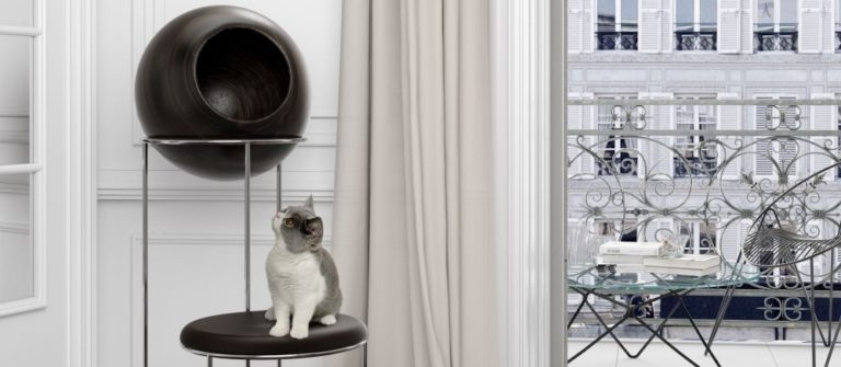 Pet Friendly France chien chat hôtel de luxe