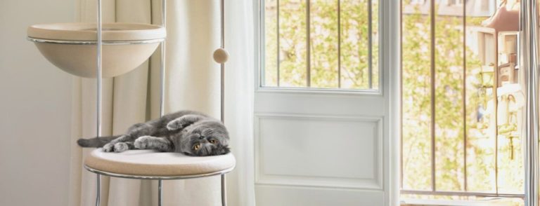 Pet Friendly France chien chat hôtel de luxe