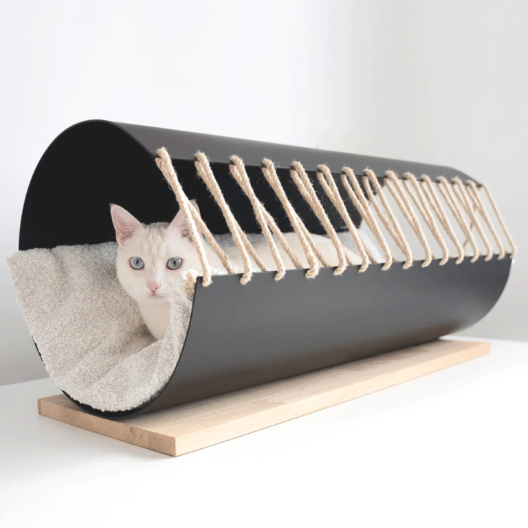 Pet Friendly France chien chat hôtel de luxe