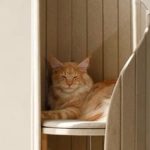 Pet Friendly France chien chat hôtel de luxe