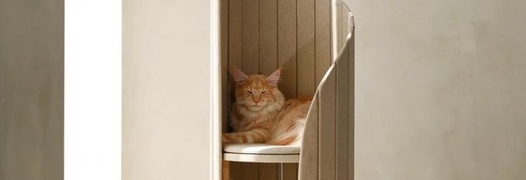 Pet Friendly France chien chat hôtel de luxe