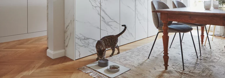Pet Friendly France chien chat hôtel de luxe