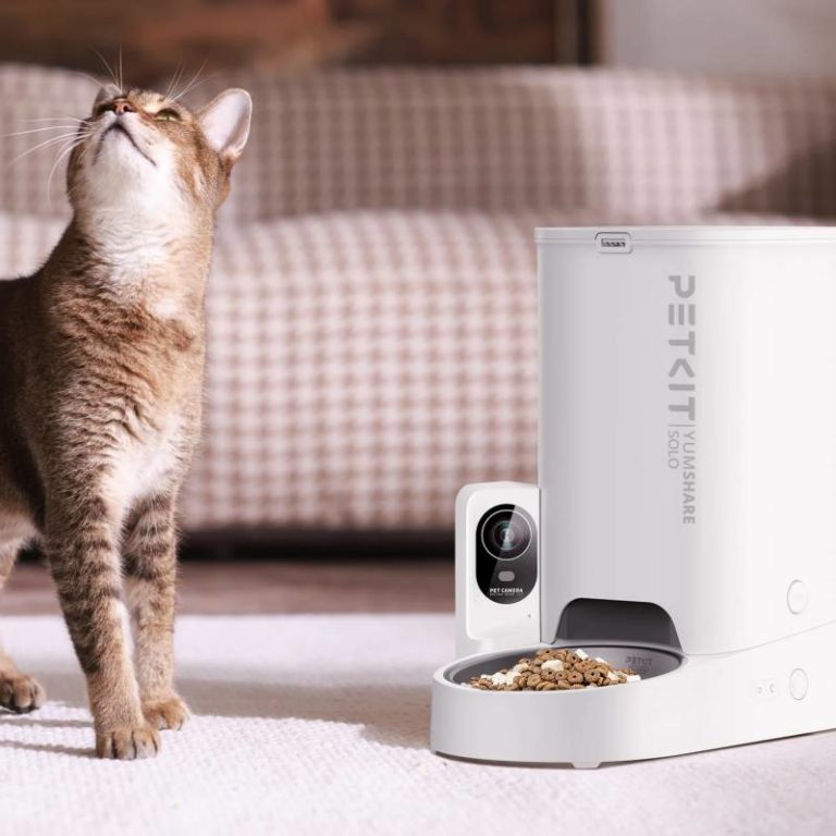 Pet Friendly France chien chat hôtel de luxe